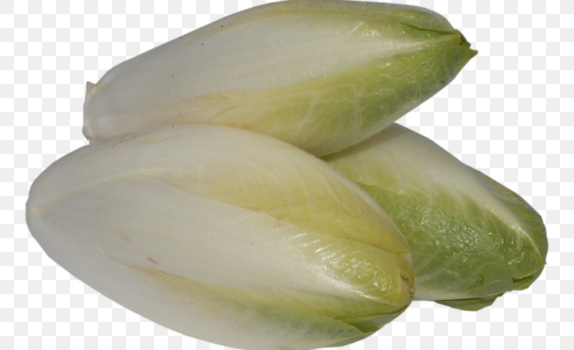 Chicory Cabbage Vegetable Greens Food, PNG, 750x500px, Chicory, Cabbage, Coffee, Commodity, Food Download Free