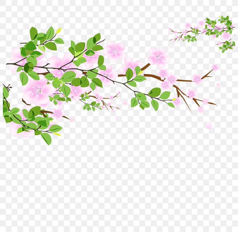 Gratis Graphic Design, PNG, 800x800px, Gratis, Birthday, Blossom, Branch, Cherry Blossom Download Free