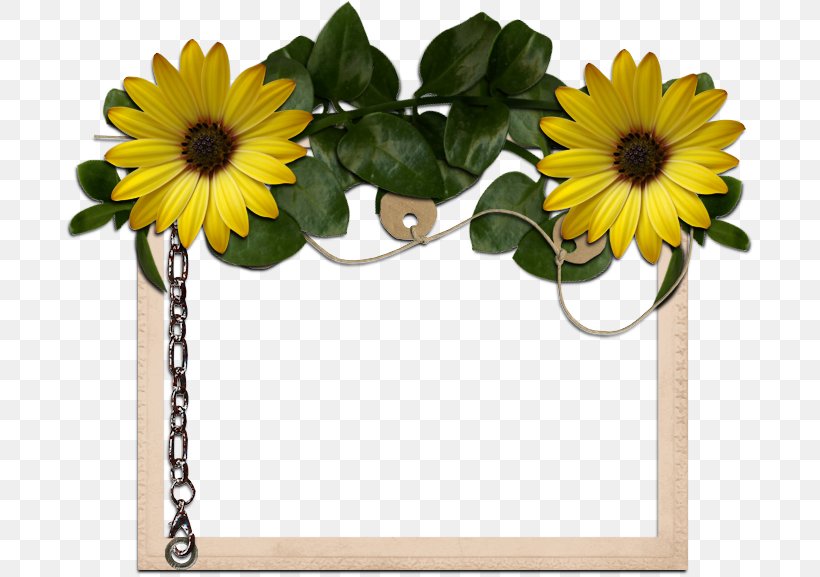 Image Centerblog Photograph, PNG, 691x577px, Centerblog, Blog, Copyright, Cut Flowers, Daisy Family Download Free
