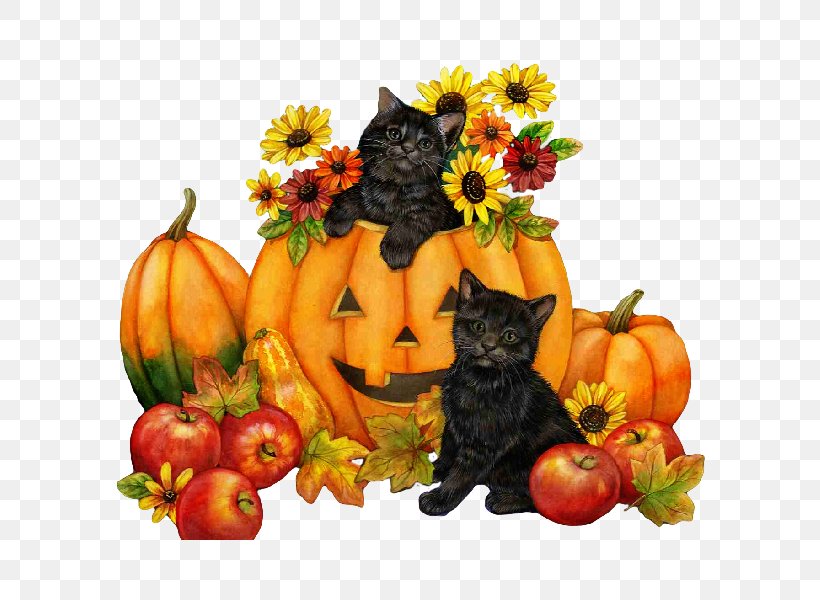 Pumpkin Pie Candy Corn Kitten Halloween, PNG, 600x600px, Pumpkin, Animation, Autumn, Calabaza, Candy Corn Download Free