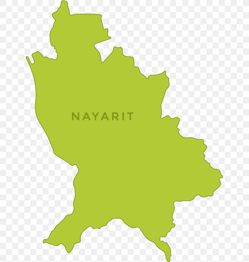 Nayarit Vector Graphics Map Image Illustration, PNG, 650x863px, Nayarit, Drawing, Grass, Green, Leaf Download Free