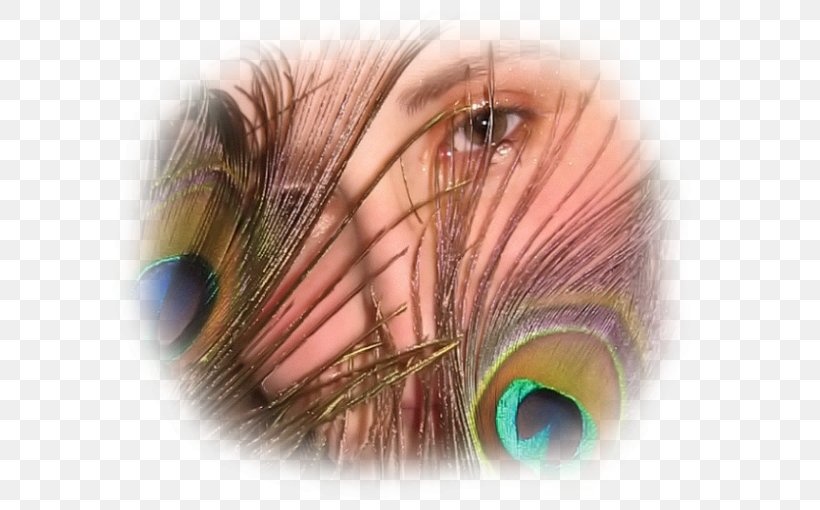 .net Face Eyebrow Forehead Eyelash, PNG, 605x510px, Watercolor, Cartoon, Flower, Frame, Heart Download Free