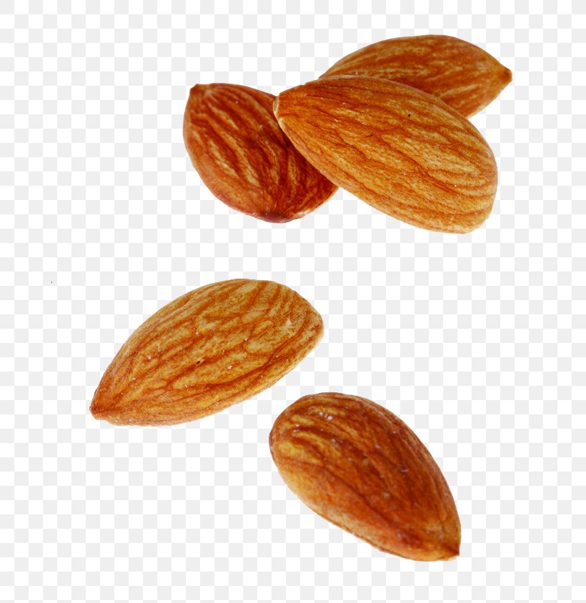 Nut Almond Apricot Kernel Oil, PNG, 683x844px, Nut, Almond, Apricot Kernel, Cashew, Commodity Download Free