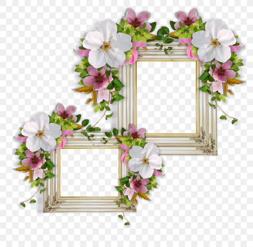 Picture Frames, PNG, 800x800px, Picture Frames, Artificial Flower, Blossom, Branch, Cut Flowers Download Free