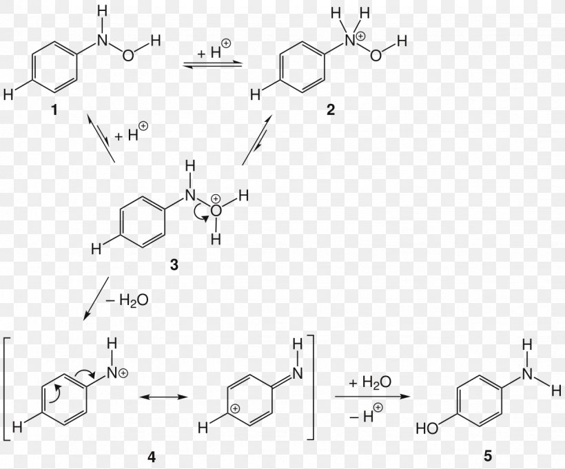Bamberger Rearrangement Phenylhydroxylamine Protonation Chemical Reaction Rearrangement Reaction, PNG, 1232x1024px, Phenylhydroxylamine, Acid, Area, Auto Part, Black And White Download Free