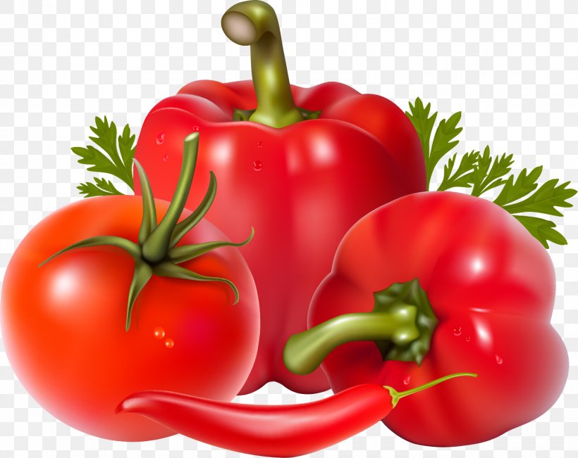 Clip Art Vector Graphics Vegetable Chili Con Carne Aubergines, PNG, 1440x1144px, Vegetable, Aubergines, Beefsteak Tomato, Bell Pepper, Bell Peppers And Chili Peppers Download Free