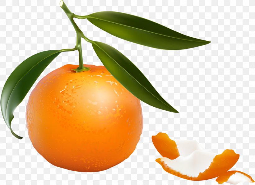 Clementine Tangerine Mandarin Orange Grapefruit Tangelo, PNG, 1006x731px, Clementine, Bitter Orange, Blood Orange, Citric Acid, Citrus Download Free