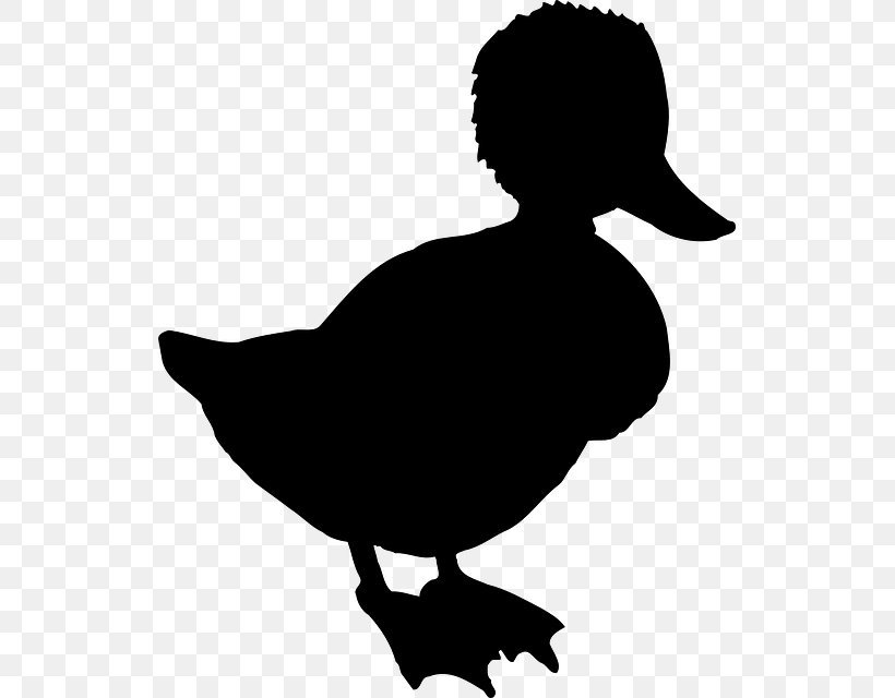 Clip Art Silhouette Vector Graphics Atlantic Puffin Bird, PNG, 529x640px, Silhouette, American Black Duck, Atlantic Puffin, Beak, Bird Download Free