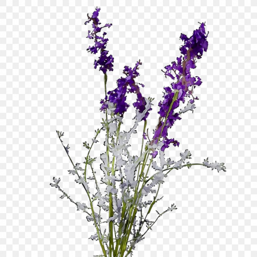 English Lavender Plant Stem Violet Cut Flowers Common Sage, PNG, 1125x1125px, English Lavender, Common Sage, Cut Flowers, Delphinium, Fernleaf Lavender Download Free