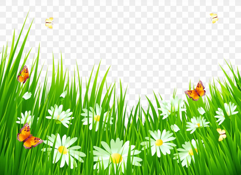 Flower Clip Art, PNG, 5000x3623px, Flower, Art, Common Daisy, Daisy, Flora Download Free