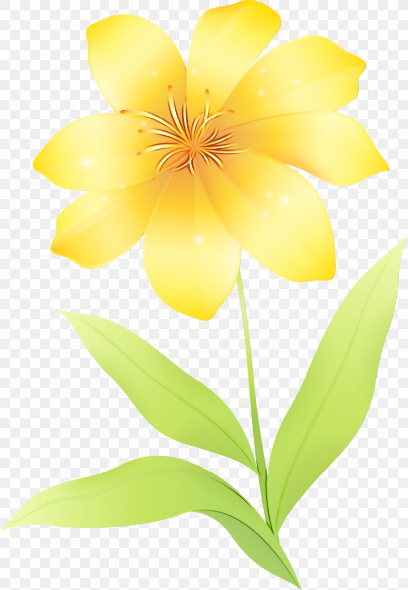 Petal Wildflower Yellow Flowering Plant Plants, PNG, 885x1280px, Petal ...