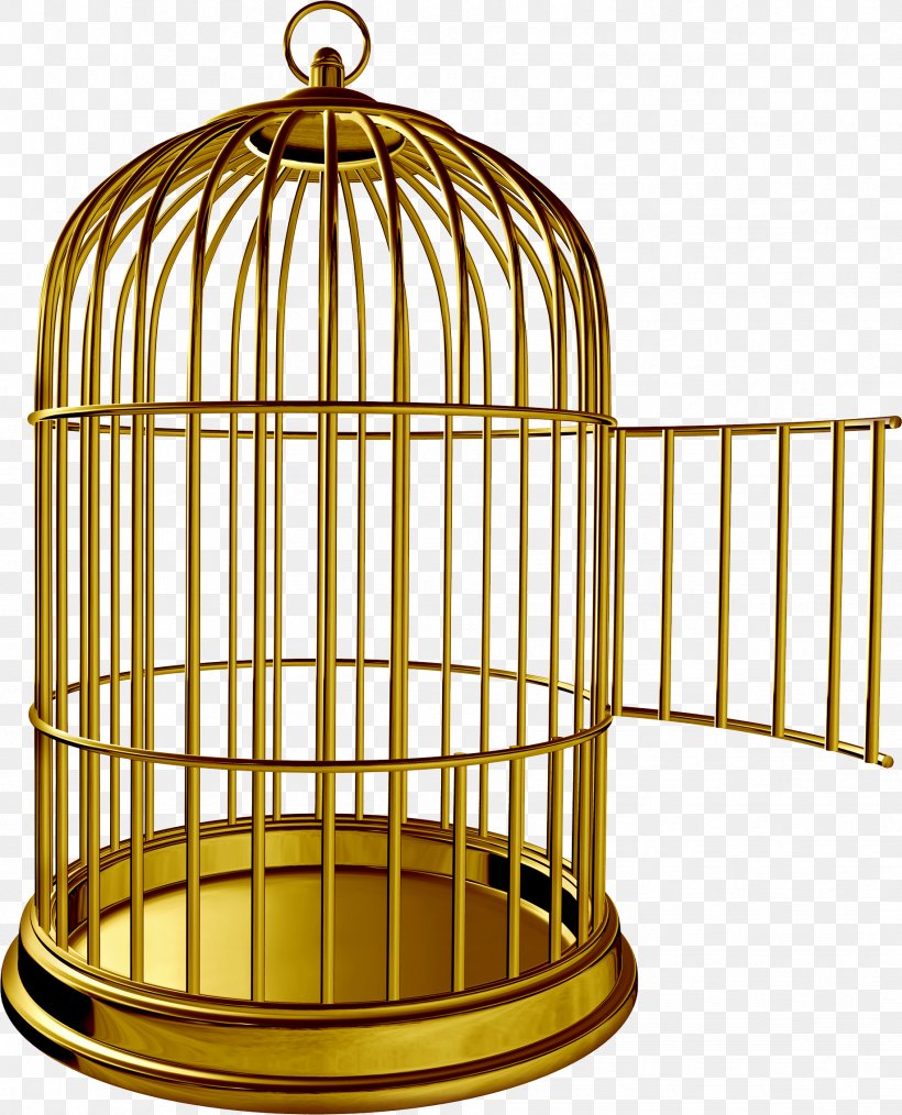 Birdcage Parrot Clip Art, PNG, 1836x2272px, Bird, Birdcage, Cage, Drawing, Furniture Download Free