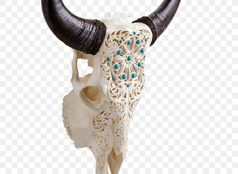 Horn Animal Skulls Cattle Bull, PNG, 600x600px, Horn, Animal, Animal Skulls, Art, Bone Download Free