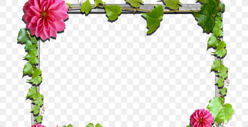 Picture Frames Flower Floral Design Rose, PNG, 800x420px, Picture Frames, Border, Cut Flowers, Decorative Arts, Digital Image Download Free