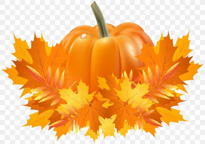 Pumpkin Pie Crookneck Pumpkin Clip Art, PNG, 8000x5624px, Pumpkin, Autumn, Autumn Leaf Color, Crookneck Pumpkin, Cucurbita Download Free