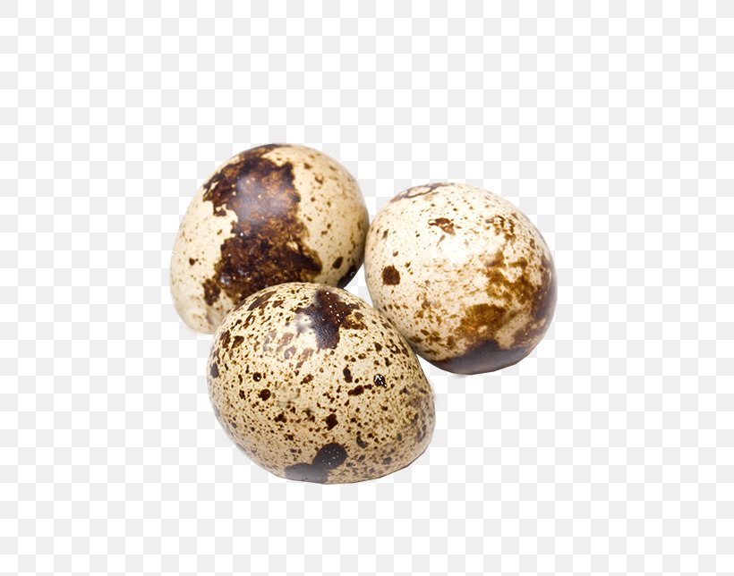 Quail Eggs Quail Eggs Chicken Common Quail, PNG, 553x644px, Quail, Boiled Egg, Breakfast, Chicken, Common Quail Download Free