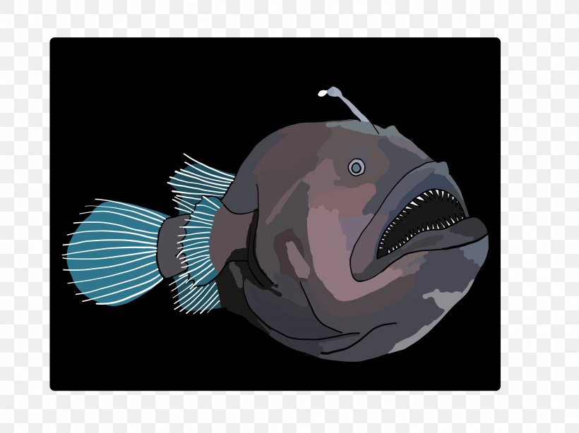 Anglerfish Deep Sea Fish Mouth Snout, PNG, 2732x2048px, Anglerfish, Animated Cartoon, Deep Sea, Deep Sea Fish, Fish Download Free