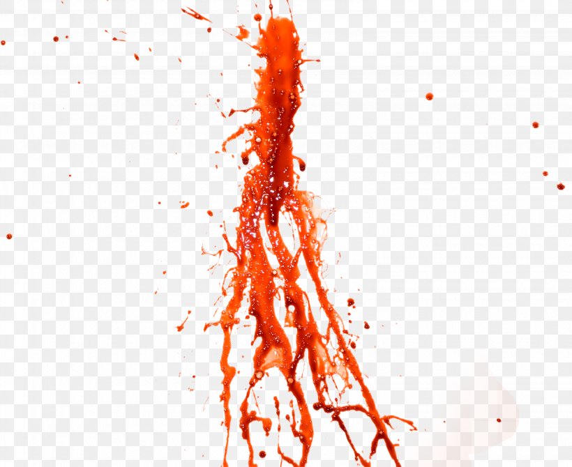 Blood Icon, PNG, 3170x2592px, Blood, Blood Plasma, Bloodstain Pattern Analysis, Illustration, Image File Formats Download Free