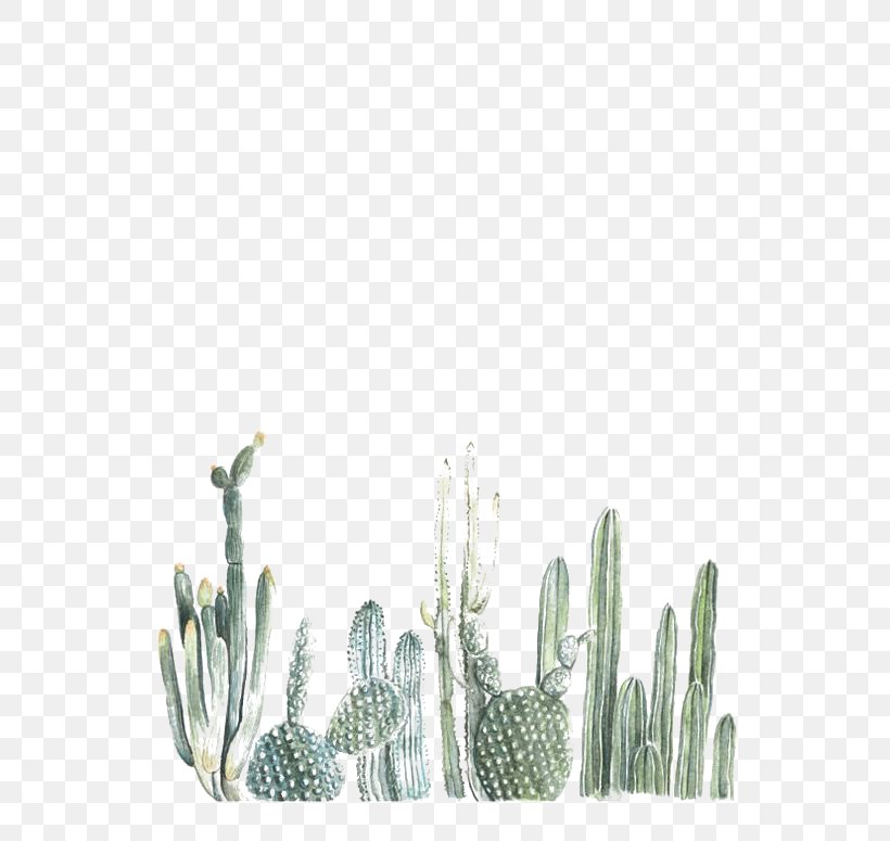 Cactaceae Paper Printing Painting Printmaking, PNG, 564x775px, Cactaceae, Art, Cactus, Color, Drawing Download Free