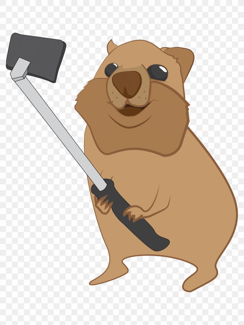 Dog Beaver Marsupial Cartoon, PNG, 1728x2304px, Dog, Bear, Beaver, Canidae, Carnivoran Download Free