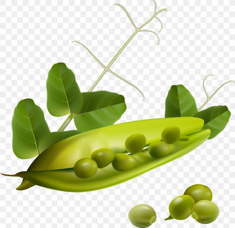 Food Eating Pea Bean Vegetable, PNG, 1255x1219px, Food, Bean, Bell Pepper, Breastfeeding, Capsicum Download Free
