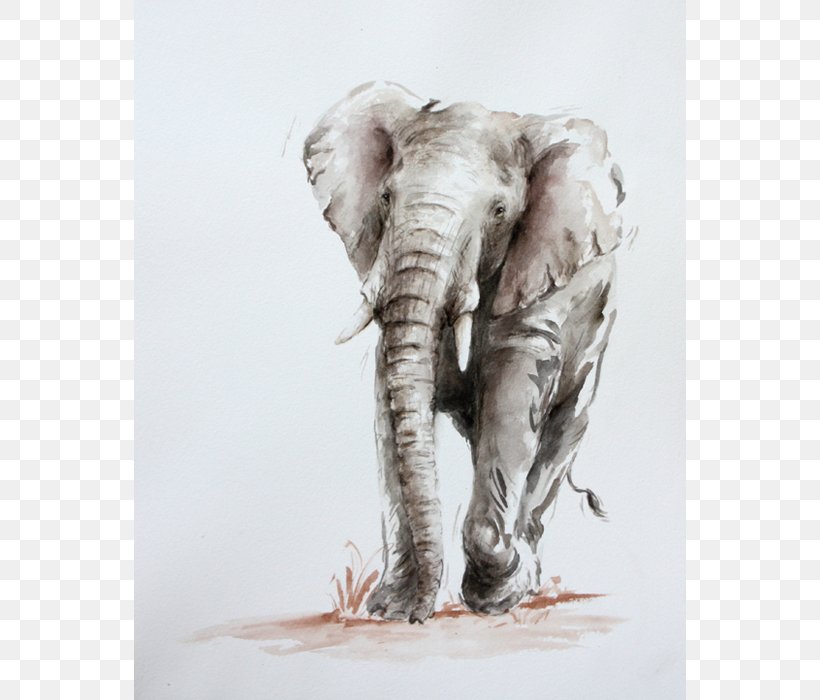 Indian Elephant African Elephant Drawing Wildlife, PNG, 700x700px, Indian Elephant, African Elephant, Animal, Drawing, Elephant Download Free