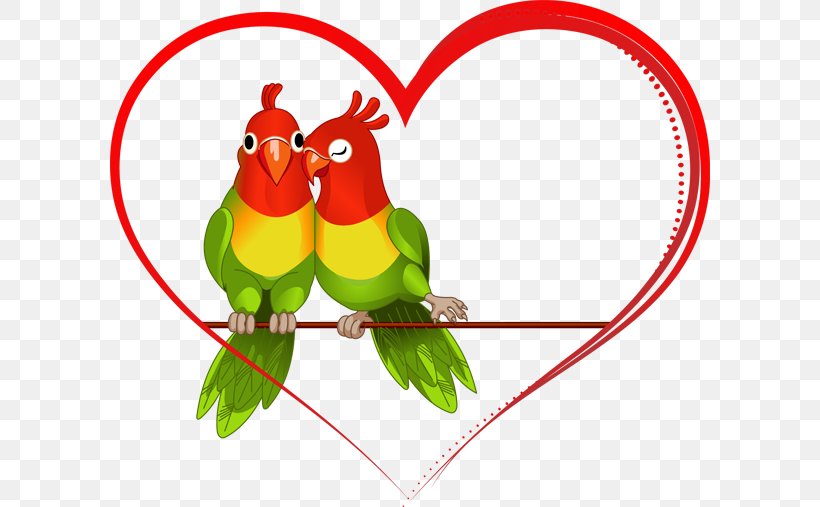 Lovebird Parrot Clip Art, PNG, 600x507px, Lovebird, Area, Beak, Bird, Chicken Download Free