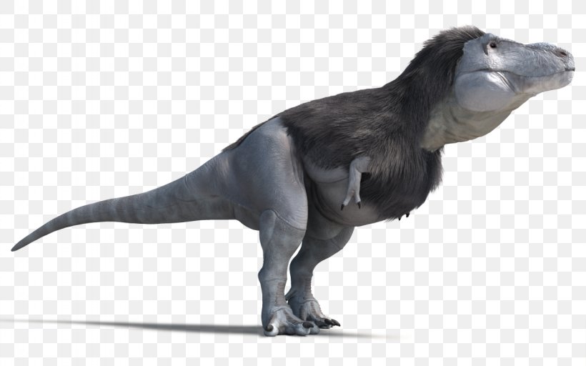 Tyrannosaurus Velociraptor Daspletosaurus Carnotaurus Tarbosaurus, PNG, 1280x800px, Tyrannosaurus, Animal, Animal Figure, Art, Carnotaurus Download Free