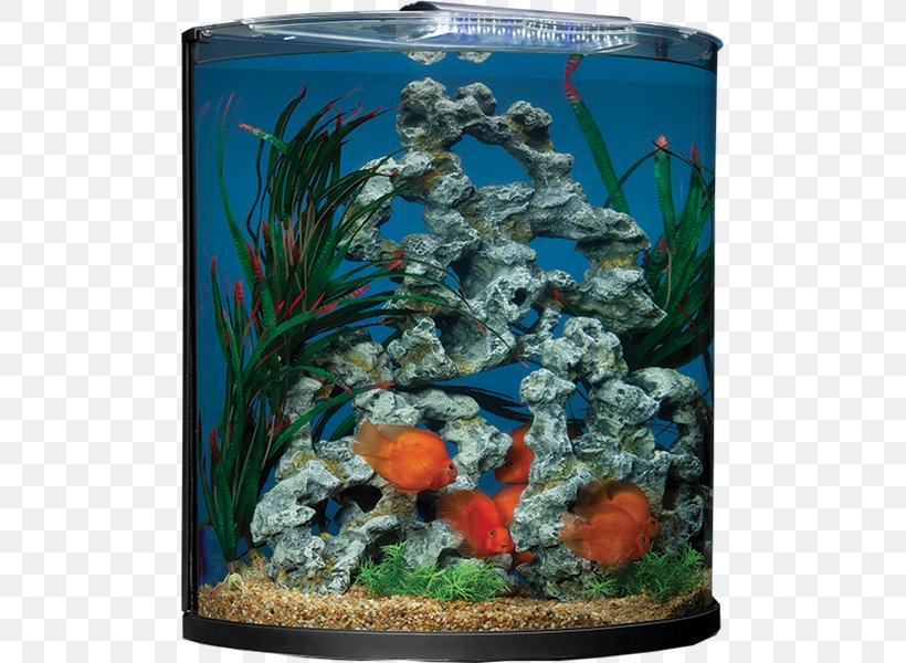 Aquariums Marineland Aquatic Plants Gallon, PNG, 600x600px, Aquariums, Aquarium, Aquarium Decor, Aquarium Lighting, Aquatic Plant Download Free