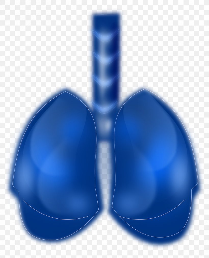 Lung Cancer Respiratory System Human Lung Blue, PNG, 1039x1280px, Lung, Blue, Cobalt Blue, Disease, Electric Blue Download Free