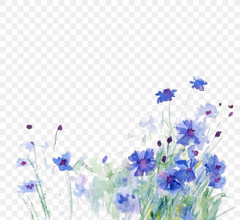 Cornflower Watercolor Painting Illustration, PNG, 1024x939px, Cornflower, Drawing, Flora, Floral Design, Flower Download Free
