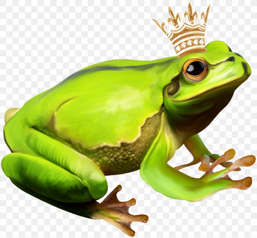 The Frog Prince, PNG, 870x808px, Frog Prince, Amphibian, Frog, Organism, Ranidae Download Free