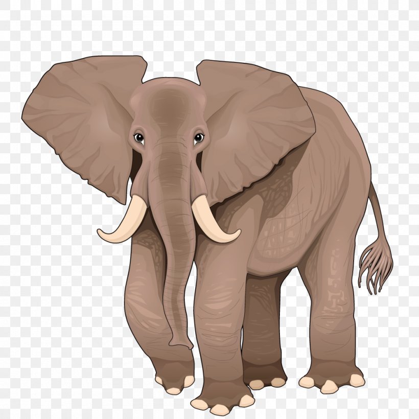 African Elephant Cartoon Illustration, PNG, 1000x1000px, African Elephant,  Cartoon, Cuteness, Drawing, Elephant Download Free