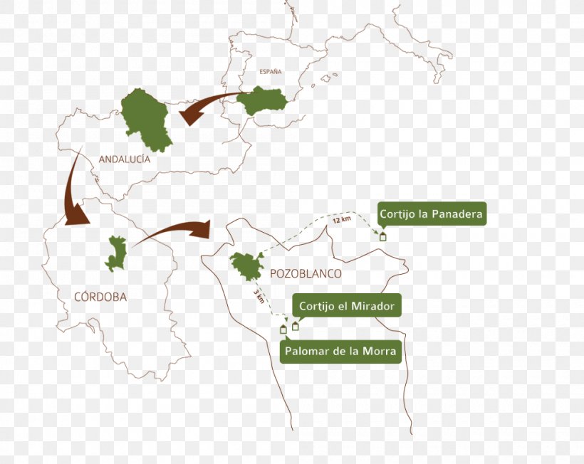 Google Maps Dehesa Cortijo OLIPE Organic Olive Oil, PNG, 1000x796px, Map, Area, Cortijo, Dehesa, Diagram Download Free