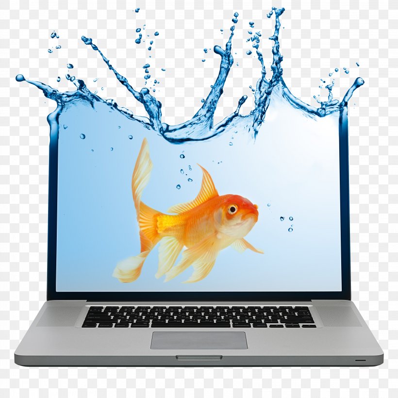 Laptop Advertising Notebook Business Marketing, PNG, 3245x3247px, Laptop, Advertising, Business, Businessperson, Fish Download Free