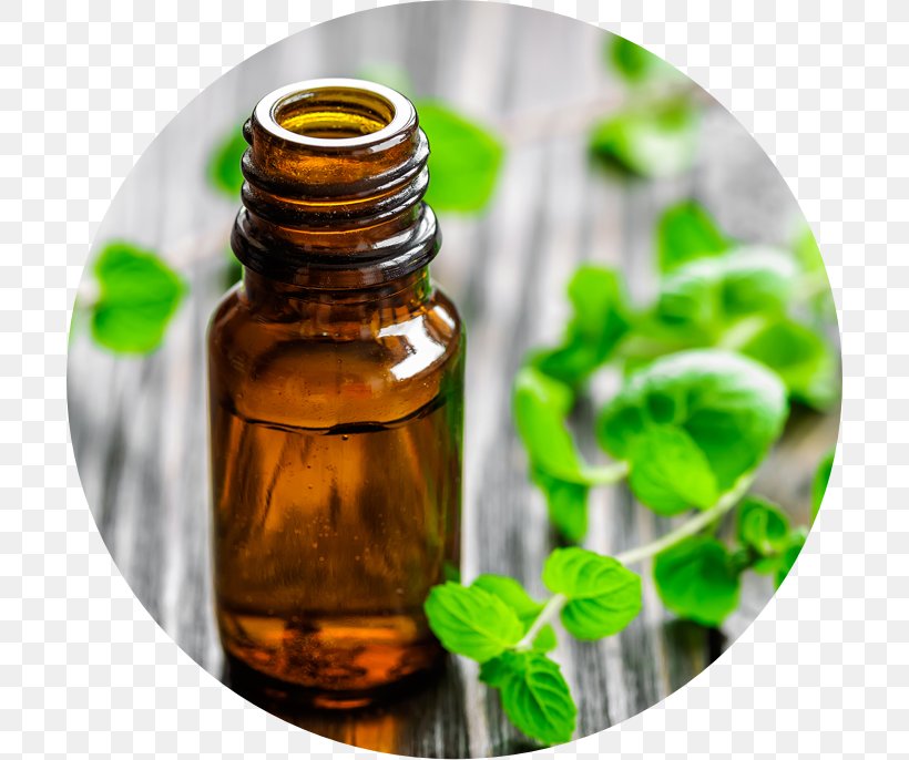 Peppermint Mentha Spicata Essential Oil Aromatherapy, PNG, 700x686px, Peppermint, Aromatherapy, Avocado Oil, Black Pepper, Borage Download Free