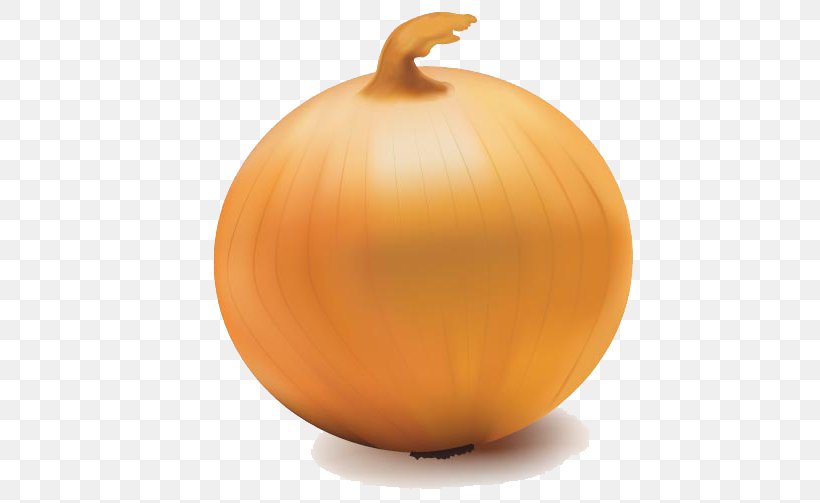 Yellow Onion Jack-o-lantern, PNG, 511x503px, Onion, Calabaza, Cucurbita, Food, Fruit Download Free