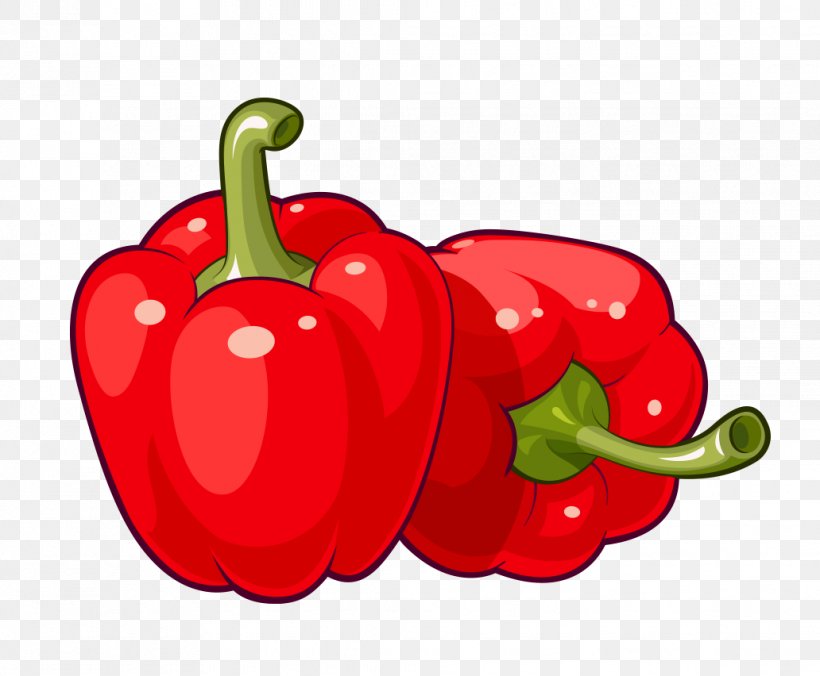 Bell Pepper Vector Graphics Chili Pepper Stock Photography Yellow Pepper, PNG, 1032x852px, Bell Pepper, Bell Peppers And Chili Peppers, Cayenne Pepper, Chili Pepper, Diet Food Download Free