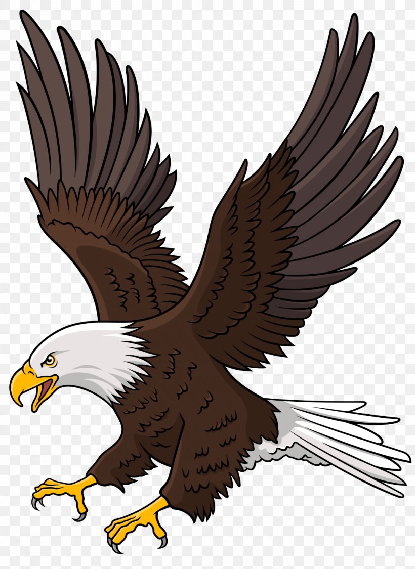 Bird Logo, PNG, 1080x1482px, Bald Eagle, Accipitridae, Accipitriformes, Beak, Bird Download Free