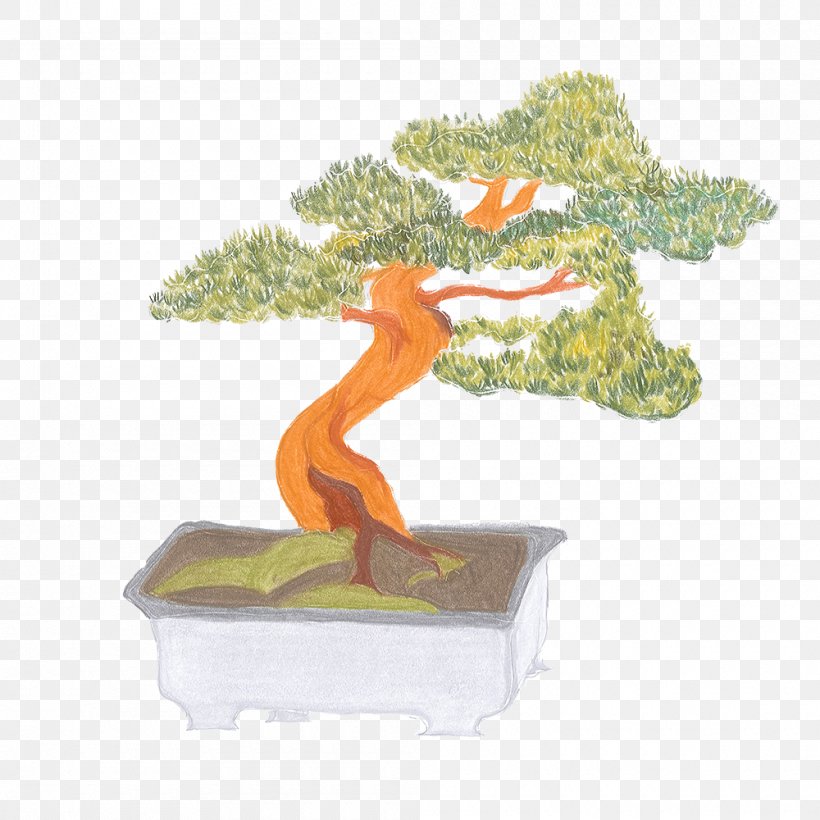 Bonsai Flowerpot Tree, PNG, 1000x1000px, Bonsai, Flowerpot, Houseplant, Organism, Plant Download Free