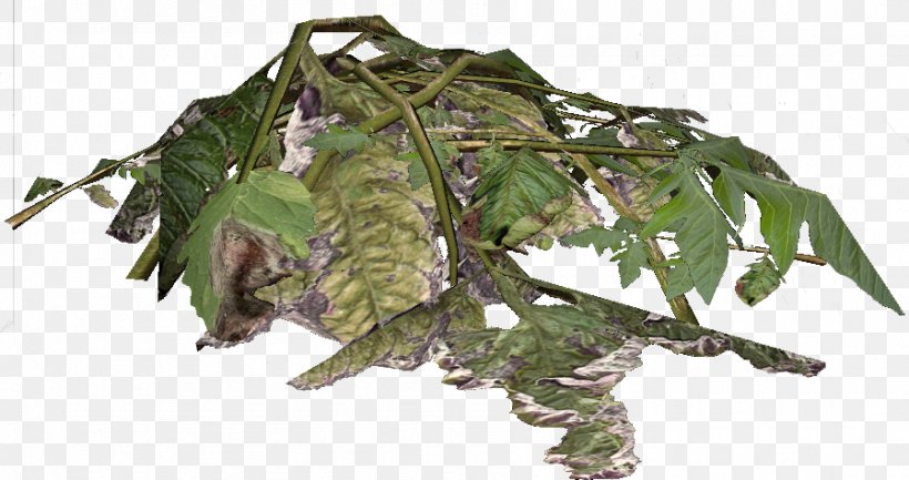 DayZ Leaf Plant Wiki, PNG, 898x475px, Dayz, Fertilisers, Large Intestine, Leaf, Plant Download Free