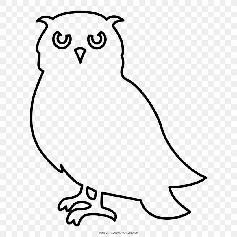Little Owl Black And White Drawing Coloring Book, PNG, 1000x1000px, Owl, Art, Beak, Bird, Bird Of Prey Download Free