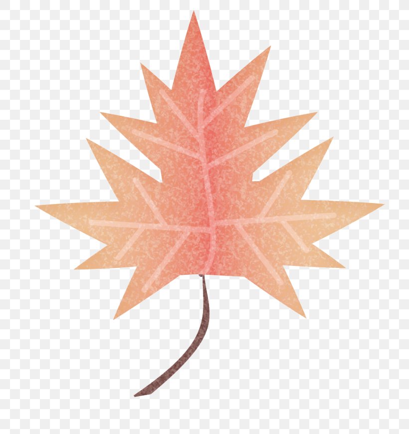 Maple Leaf Symmetry, PNG, 724x870px, Maple Leaf, Leaf, Maple, Plant, Symmetry Download Free
