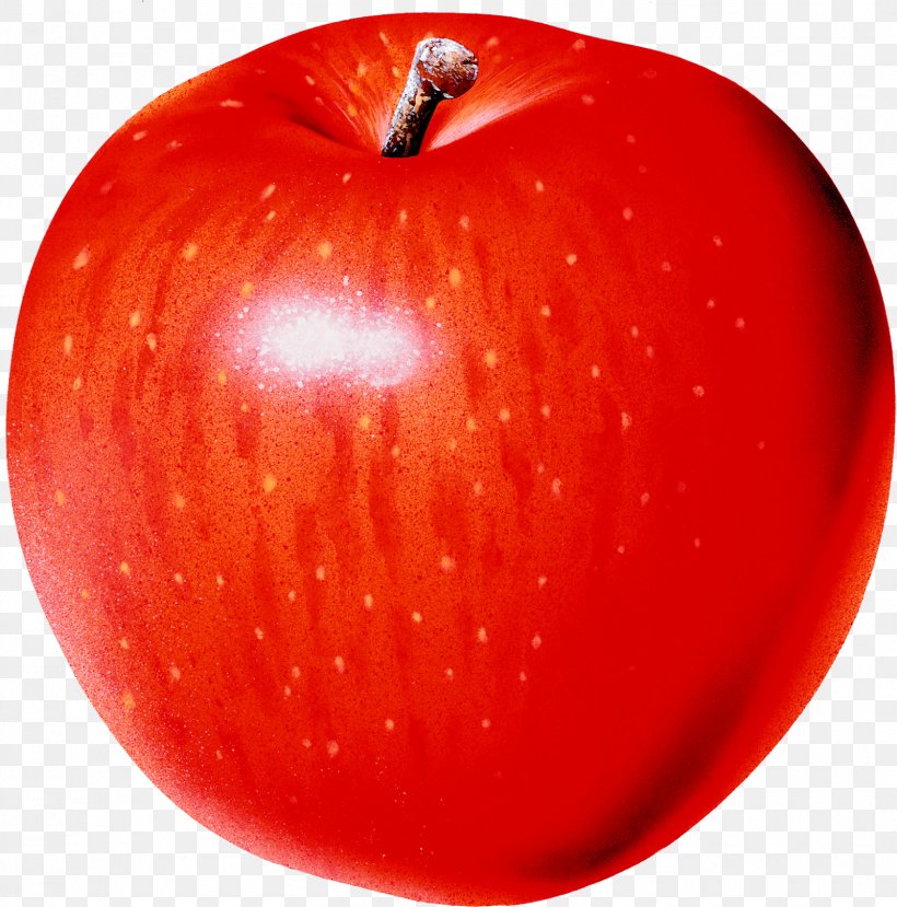 Clip Art Free Content Apple Image, PNG, 1581x1600px, Apple, Accessory Fruit, Blog, Diet Food, Food Download Free