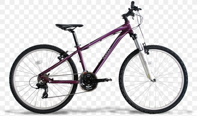 Miami Beach Bicycle Center Mountain Bike Cycling Hardtail, PNG, 1600x943px, Bicycle, Bicycle Accessory, Bicycle Derailleurs, Bicycle Drivetrain Part, Bicycle Forks Download Free