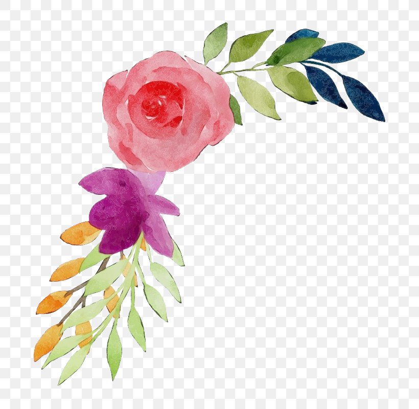 Rose, PNG, 800x800px, Watercolor, Cut Flowers, Flower, Flowering Plant, Leaf Download Free