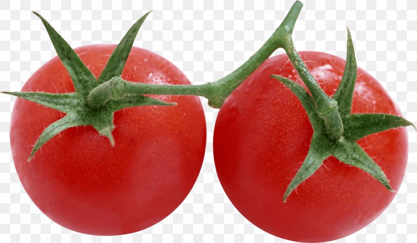 Salsa Rotten Tomatoes Pizza Food, PNG, 2360x1376px, Cherry Tomato, Bush Tomato, Diet Food, Food, Fruit Download Free