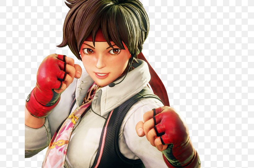Street Fighter V Sakura Kasugano Ryu Super Street Fighter IV: Arcade Edition Sagat, PNG, 659x543px, Watercolor, Cartoon, Flower, Frame, Heart Download Free