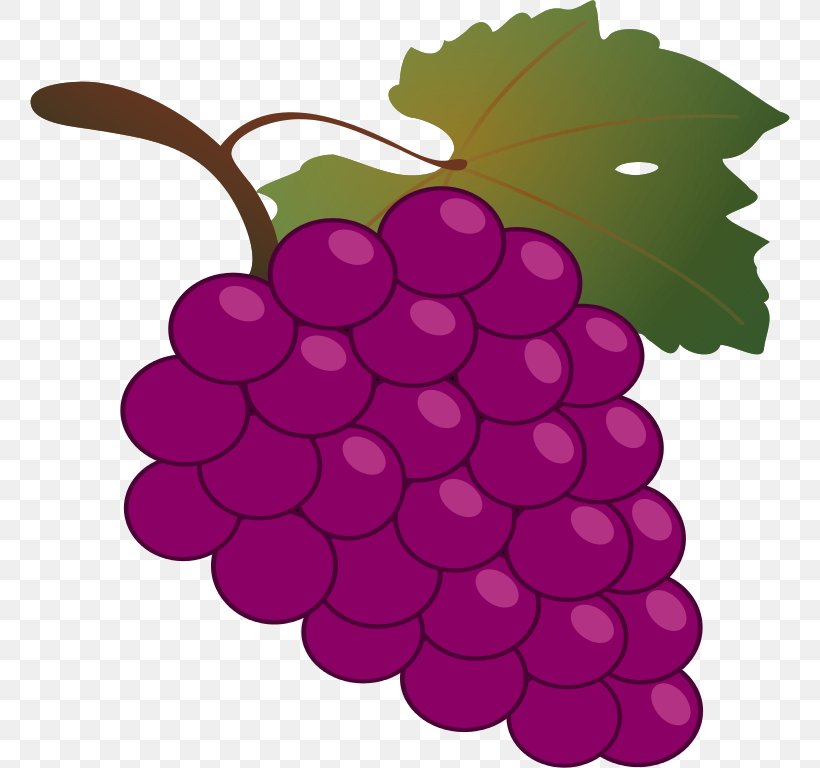 Common Grape Vine Wine Free Content Clip Art, PNG, 760x768px, Common Grape Vine, Cartoon, Flowering Plant, Food, Free Content Download Free