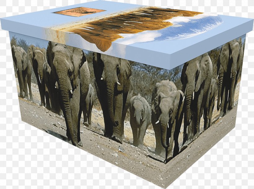 Elephantidae, PNG, 929x693px, Elephantidae, Elephant, Elephants And Mammoths, Furniture, Table Download Free